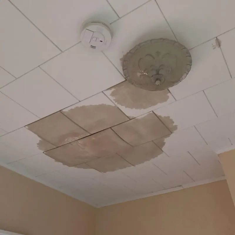Ceiling Water Damage Repair in Morgan County, OH