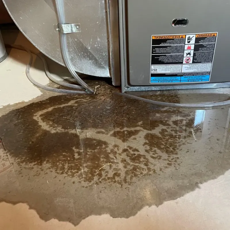 Pipe Burst and Leak Restoration in Morgan County, OH