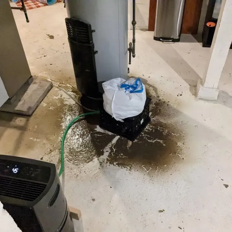 Sewage Backup Cleanup Service in Morgan County, OH